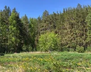 Продам участок в ясиноватой на западной – ул. Кутузова (не приватизирован) по плану с домом (ветхим)... - фотография