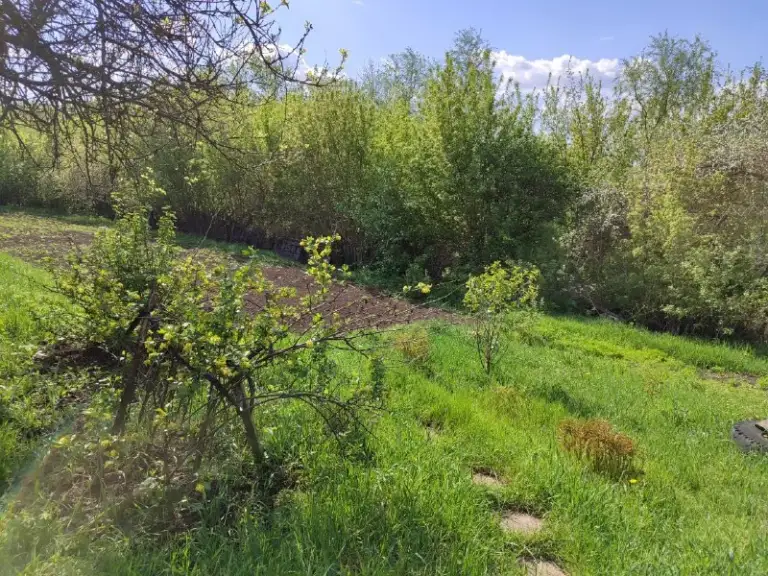 Продается жилой дом 68 м2.
В поселке пантелеймоновка
Свет, вода, хоз постройки.
Дом требует ремонта. Отопление печное
Сад, огород, участок 15 соток. Цена снижена
350 Тысяч рублей
Обращаться по телефону
+7949 408 72 26
В любое время до 20-00. - фотография - 5