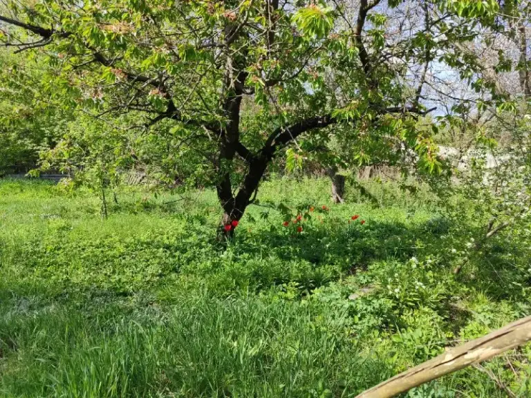 Продается жилой дом 68 м2.
В поселке пантелеймоновка
Свет, вода, хоз постройки.
Дом требует ремонта. Отопление печное
Сад, огород, участок 15 соток. Цена снижена
350 Тысяч рублей
Обращаться по телефону
+7949 408 72 26
В любое время до 20-00. - фотография - 6