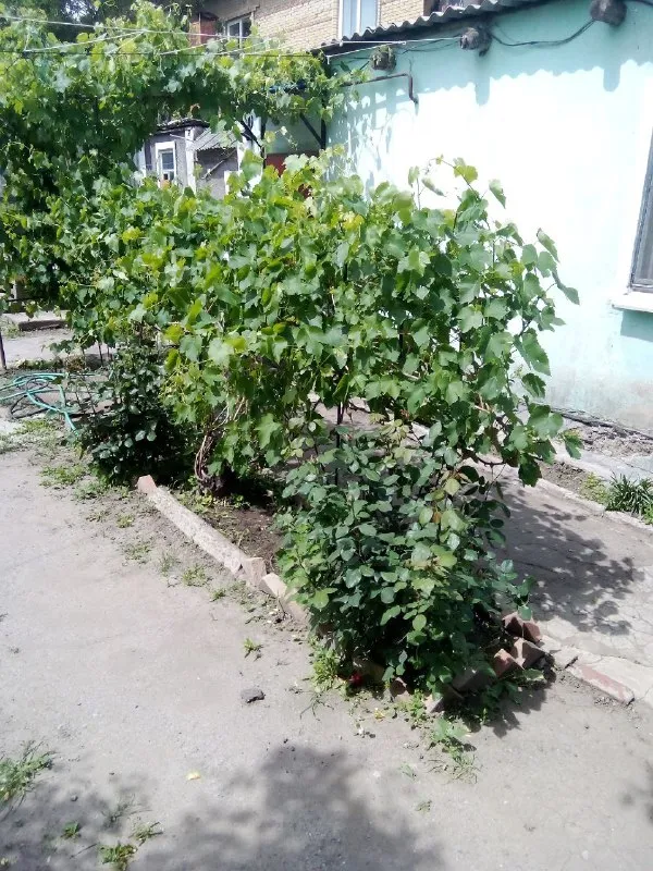 ‼️Продажа дома‼️

🏡Продаётся 3-х комнатный дом ленинский р-н🗺г. Донецк днр парк щербакова

✅Газ, вода, центральная канализация
🔥Собственник

💴Цена: 2🍋500.000 рублей
📞Все подробности по телефону;
☎️+7(949) 895-50-92 Виталий

Недвижимость днр - фотография - 2