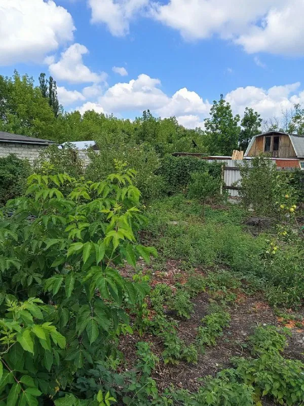 ‼️Продажа дома‼️
🏡Продам дом 60 м2
🗺Г. Донецк днр калининский район 500 метров от парк-роща,
1.000 Метров от донбасс арены
🏡Участок 6 соток, крыша перекрыта, газ подключен 2 года назад, окна пластик, отвод от городской трубы новый пластик ✅дом крепкий, внутри требует косметики, во двор поместиться 2-3 машины
✅Ворота относительно новые, заборы также частично новые, яма сливная новая, сделана 2 года назад, по улице есть канализация
🧾Документы готовы, я
🔥Собственик
💴Цена: 4🍋9 млн рублей возможен обмена на 1 комн. Кв. +доплата
☎️+7(949) 492-66-15
📞Звоните, сообщения не читаю
📨Подписаться - фотография - 5