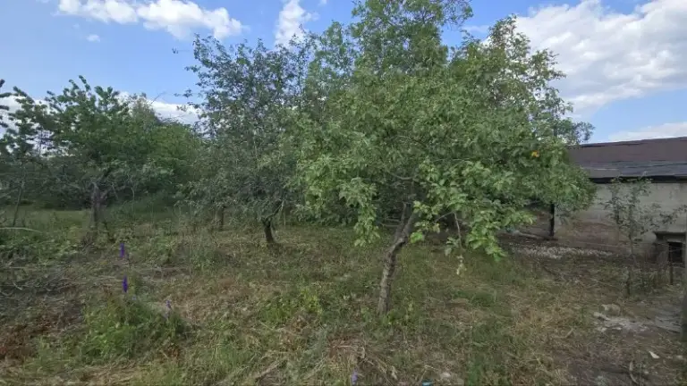 Продам дом с гаражом, возле мкр. "текстильщик"
Цена: 1 млн рублей, возможен торг!

🌍Дом расположен срузу за "петровским" мостом, поселок "мандрыкино ".

☝️Дом в хорошем, жилом состоянии, тёплый и сухой!
✅Крыша перекрыта,
✅ Центральный водопровод,
✅ Санузел в доме,
✅ Газ по забору,
✅Печное отопление,
✅Сливная яма,
✅Гараж,
✅ Летняя кухня,
✅ Фруктовые деревья,
✅Место для отдыха и авто во дворе!
☝️Отличный вариант по приемлемой цене, как для постоянной жизни, так и для дачи!

☎️+7949 451 3060, Александр топ риелтор днр, звоните, пишите в телеграм, если не отвечаю! - фотография - 9