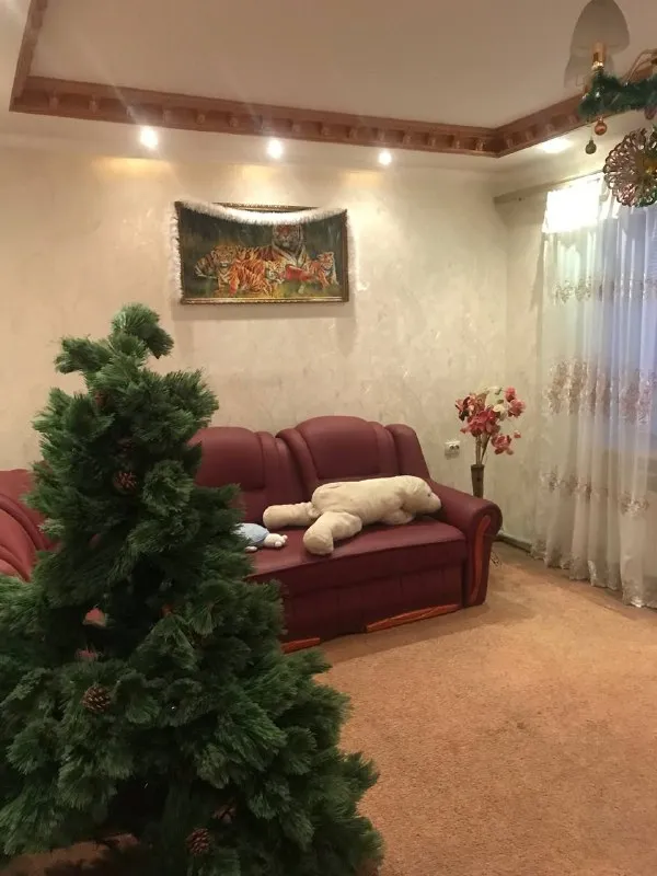 Продам 4х комнатный дом 100 м2
Дом продается от собственника❗️

🌇Донецк, кировский район, текстильщик останоака шахта 29 ул. Леси украинки📌

✅С капитальным ремонтом
✅Все коммуникации новые: крыша, окна, полы выровненны и утеплены вместе со стенами
✅Кухня 14 м2, с/у в доме
🅿Гараж на две машины,
Беседка, вольер.
👍8 Соток земли
☎️+79493314337
📲☎️+79185343539 Телеграмм юлия владимировна собственник

🛫Подписаться  |  дать объявление
📲Наш max - фотография - 6