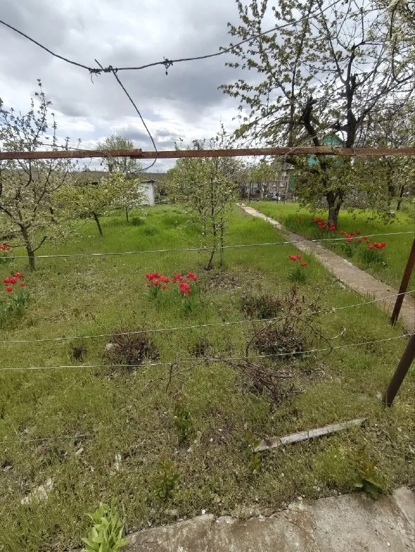 Продам дачу кооператив "ливада", микрорайон широкий, дом 2 уровня+ гараж, гос/акт на 6 соток. , рядом ставок.
Документы готовы.
+7(949) 36-77-907 - фотография - 6