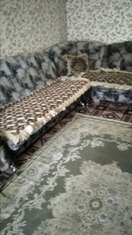 ‼❗‼ Сдается‼❗‼
🏡2-Х комн. Кв. , проспект ильича, ориентир остановка "мясокомбинат"
📍Г. Донецк днр
Калининский р-н

‼Оплата услуг по факту заселения, без каких либо предоплат и поездок в офис‼

•Жилое состояние. ..
•Имеется вся необходимая мебель и бытовая техника: холодильник, телевизор, стиральная машина автомат. ..

💴Стоимость: 15.000 руб. + ком. Услуги
☎☎☎+7949-419-63-79

Аренда донецк днр - фотография - 2