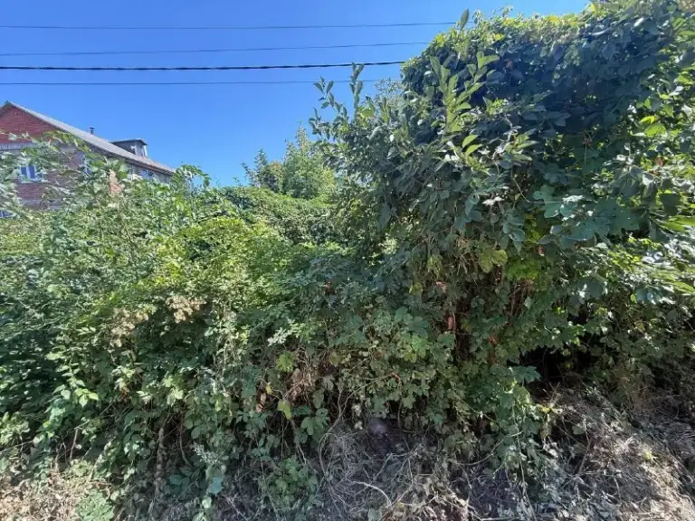Продажа приватизированного земельного участка в куйбышевском районе, улица фрунзе - 12 соток

Стройте свое пространство с агентством недвижимости город.
Вы мечтаете - мы реализовываем💫

🏣Город: донецк
🏗Район: куйбышевский
🚪Общая площадь - 12 соток

Продажа приватизированного земельного участка в куйбышевском районе донецка, ориентир - отель прага, парк щербакова, улица фрунзе. Тихи центр.

📍Участок, в шаговой доступности детский сад, школа №55

Идеально для семейной застройки 🏠
Тихий безопасный район, с развитой инфраструктурой

•Собственник в городе
•Асфальтированная дорога
•Документы готовы к сделке
•Росреестр оформлен
•Работы с геодезистом - проведены

💵Цена: 7 000 000 рублей
☎️Телефон +7 (949) 505 93 39 - фотография - 2